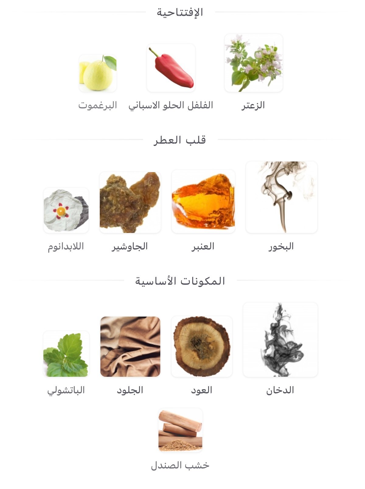 Interlude 53 Amouage - الصورة 2