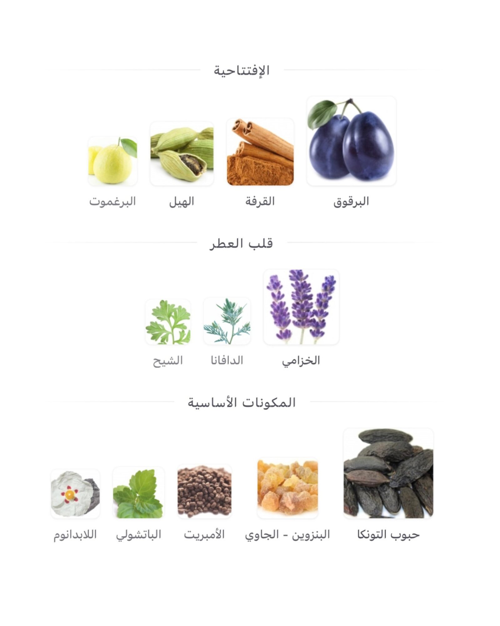 Le Male Elixir Absolu Jean Paul Gaultier - الصورة 2