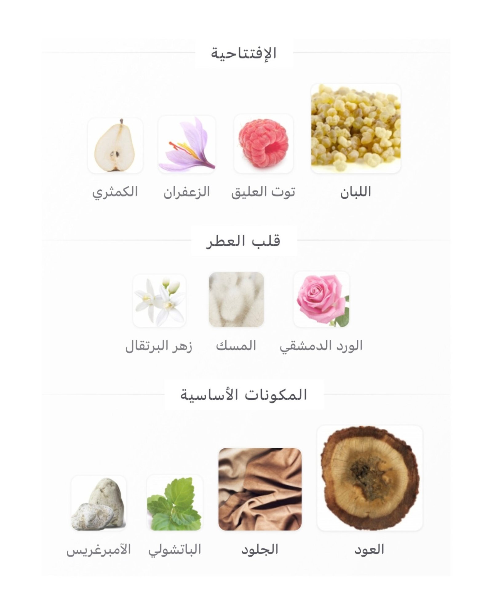 Intense Oud Gucci - الصورة 2