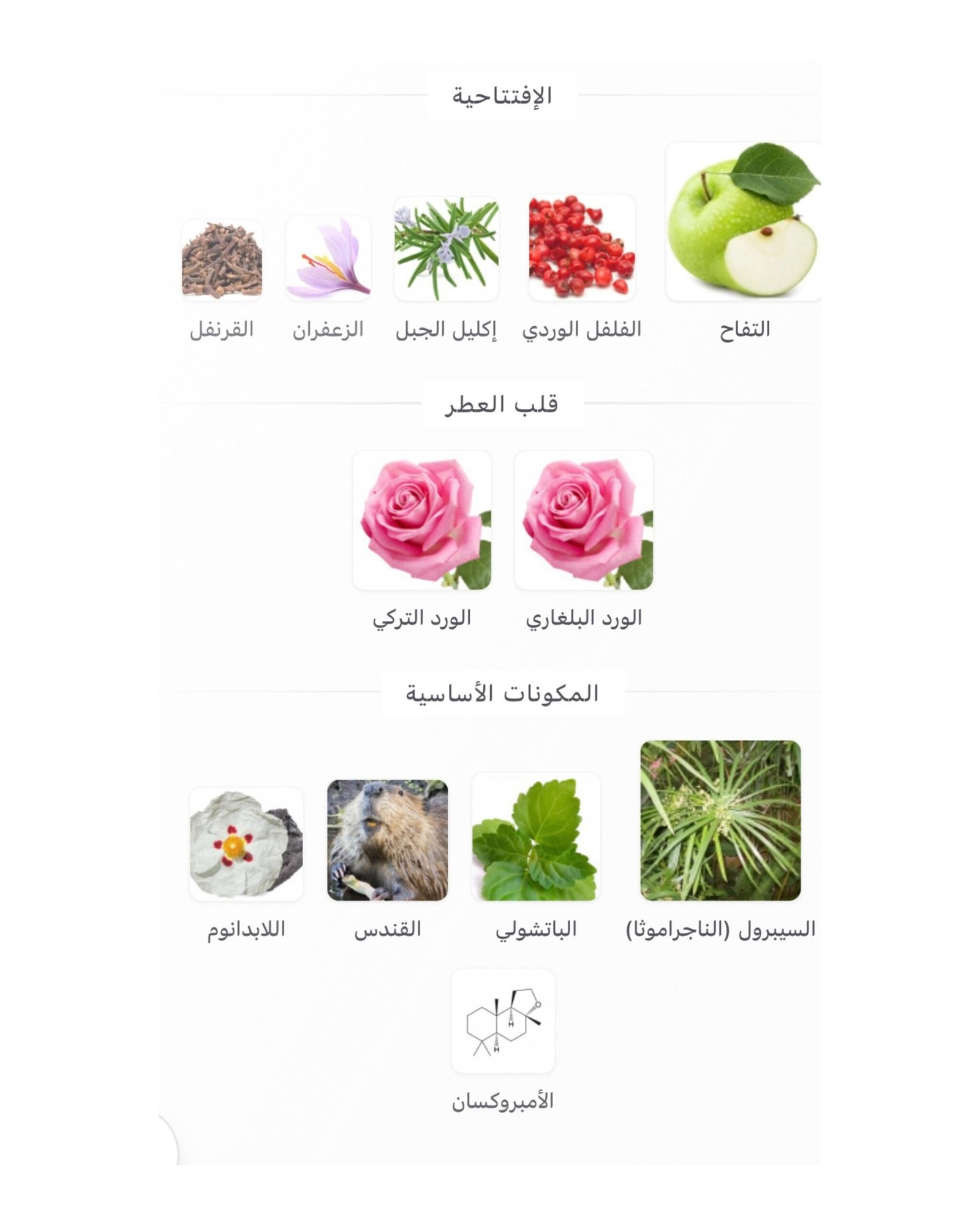 الوعد فريدريك مال - الصورة 2