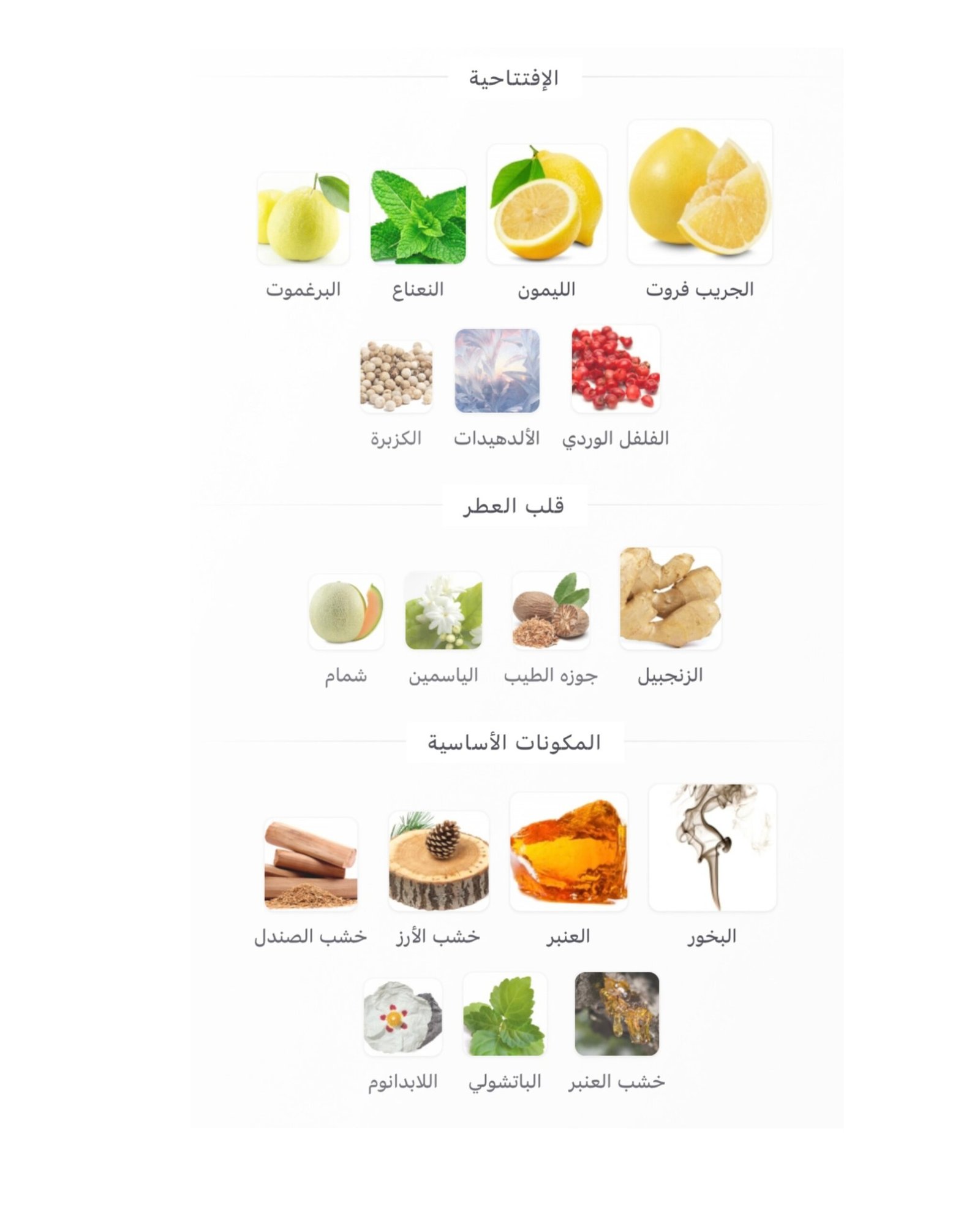 Bleu de Chanel EDP - الصورة 2