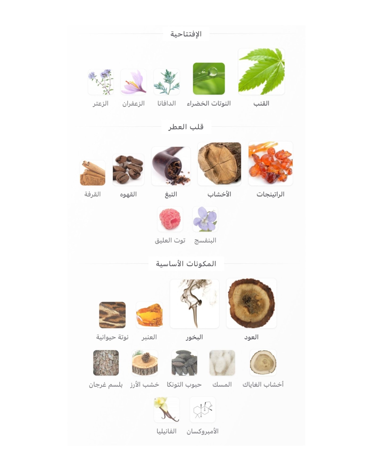 Black Afgano Nasomatto - الصورة 2