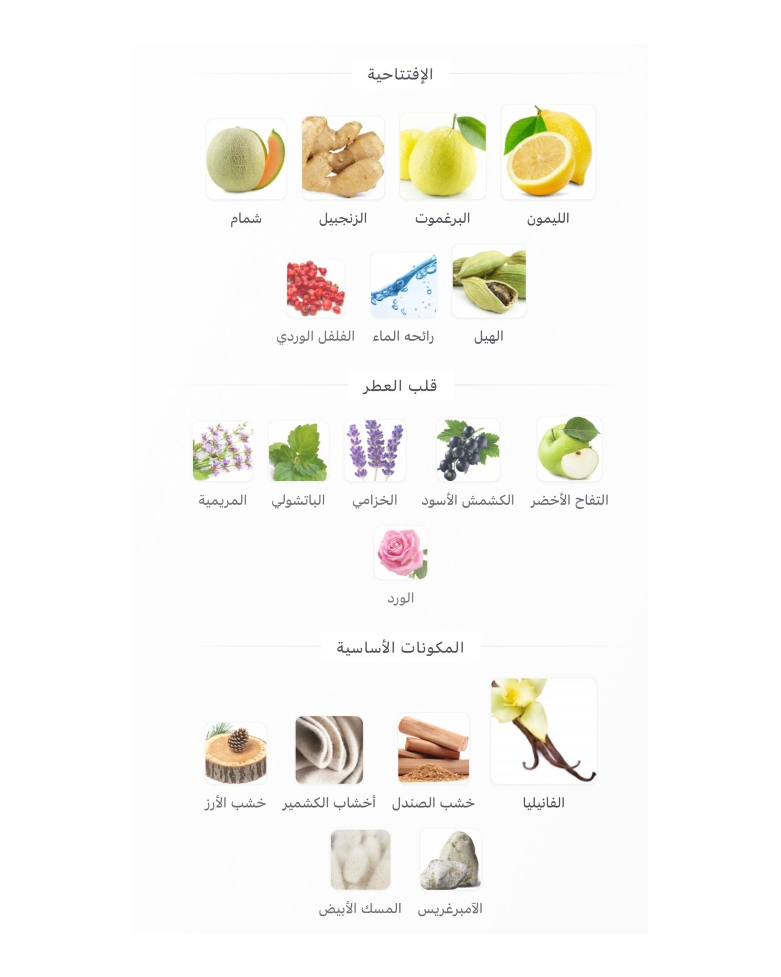 Ani X Nishane - الصورة 2