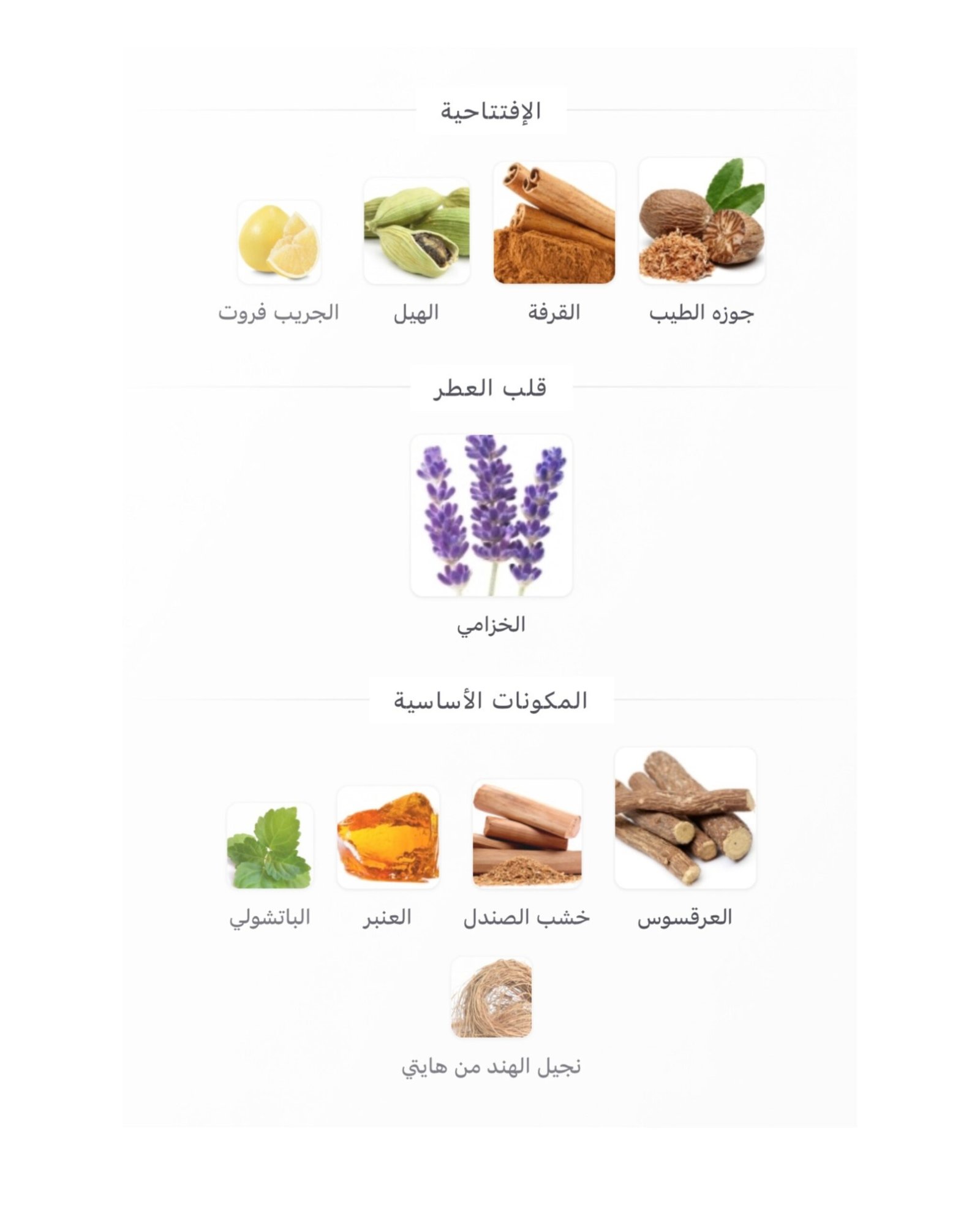 Sauvage Elixir Dior - الصورة 2