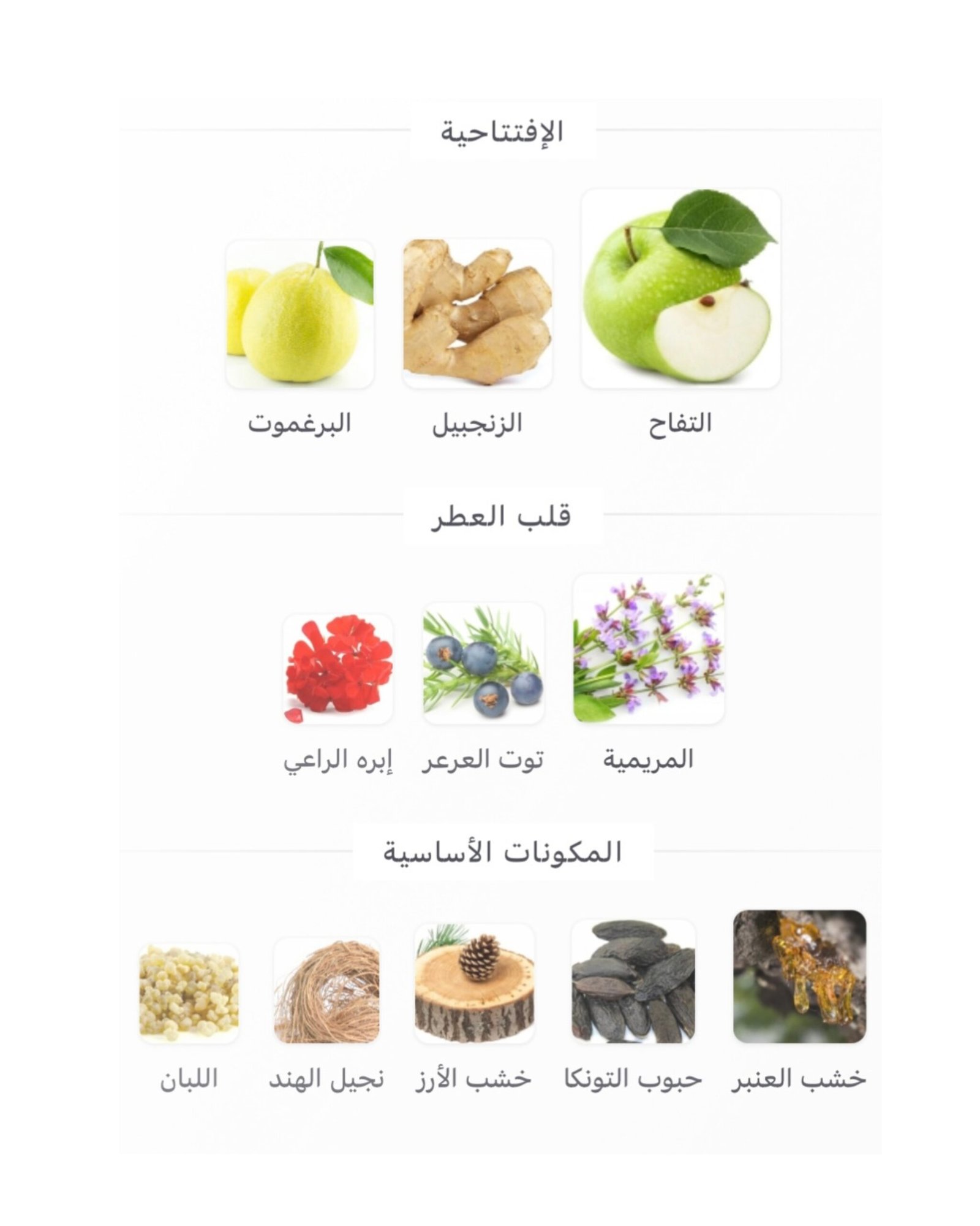 Y Eau de Parfum Yves Saint Laurent - الصورة 2