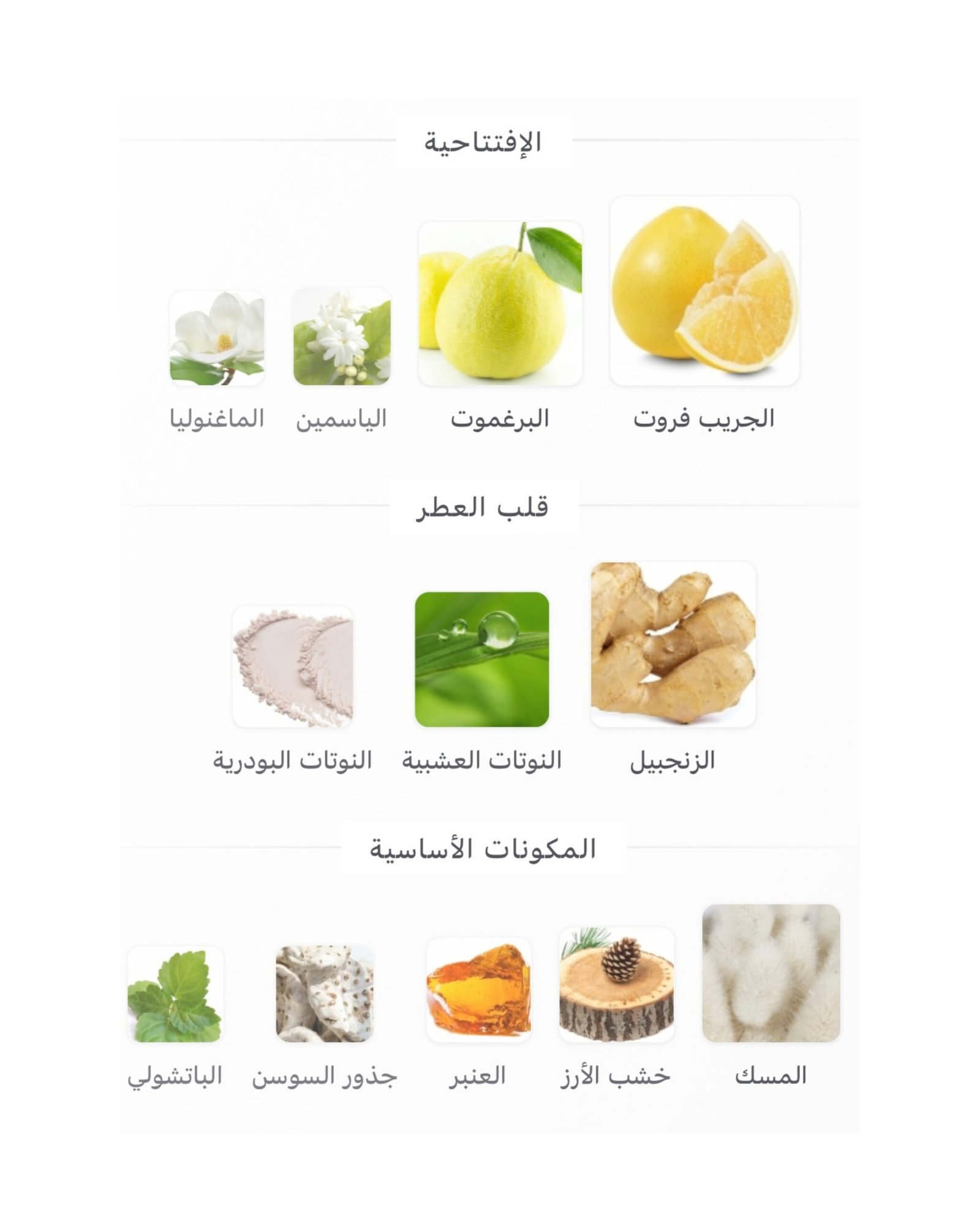 Vibrato Sospiro - الصورة 2