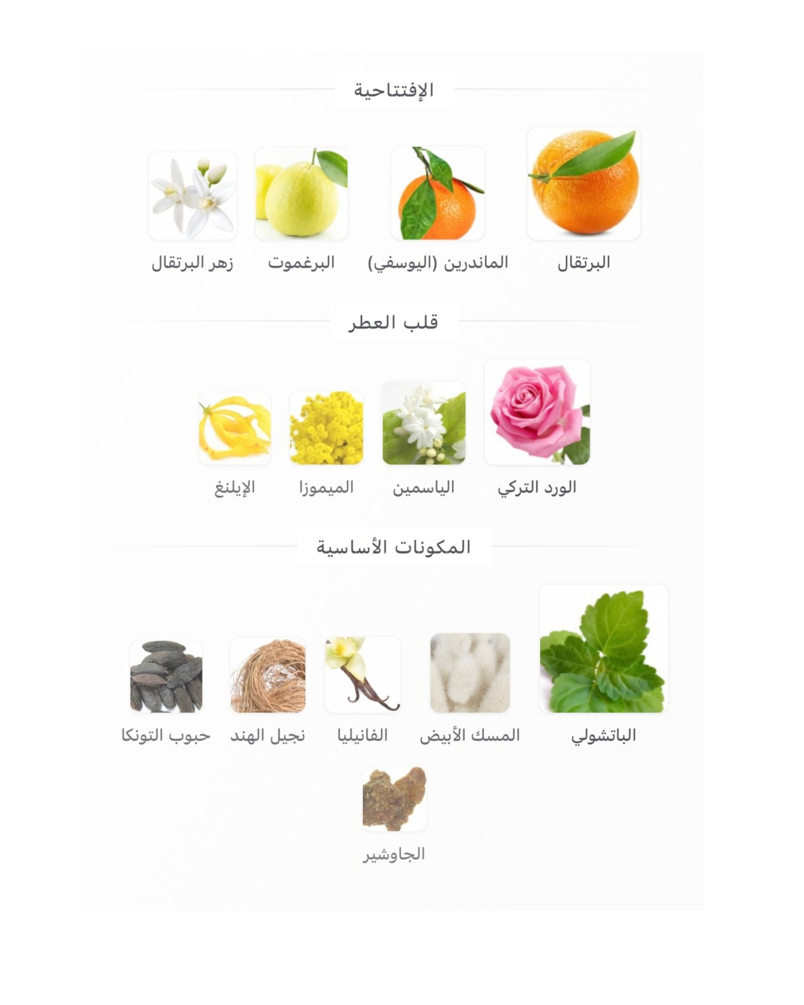 Coco Mademoiselle - الصورة 2